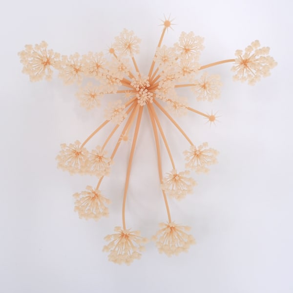 Elijah Ober, TOTAL ANIMAL