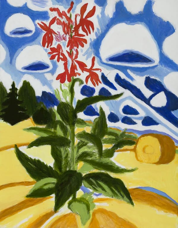 John Knight, Cardinal Flower