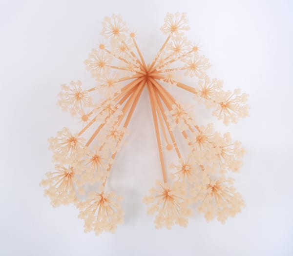 Elijah Ober, YEAR 2 MILLION