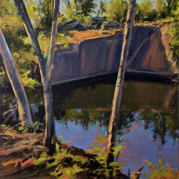 Nina Jerome, Sunlight on Birch