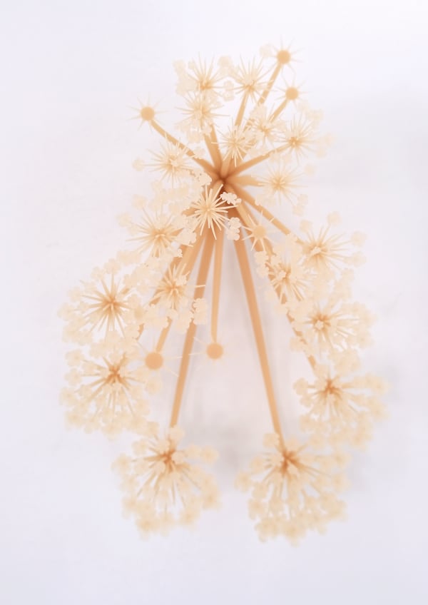 Elijah Ober, MERGE.BY_DISTANCE