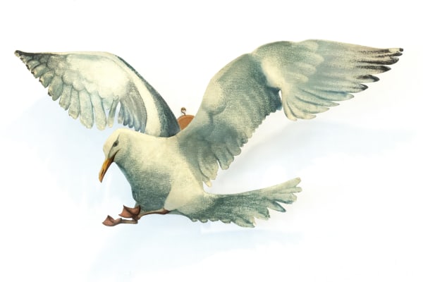 Hugh Verrier, Herring Gull