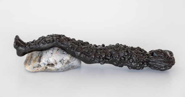 Celeste Roberge, Women of the Gulf of Maine #25, 2023