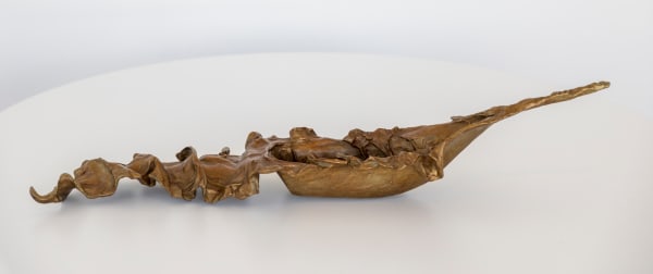 Celeste Roberge, Long Seaweed Boat