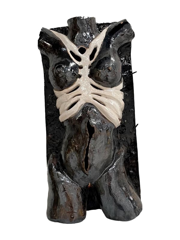 Verónica Trujillo, Herida, 2007