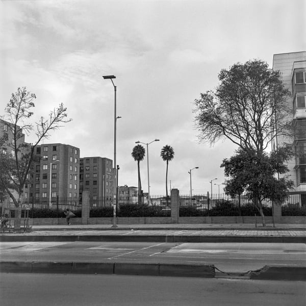 Beatriz Grau, La Caracas VIII, 2023