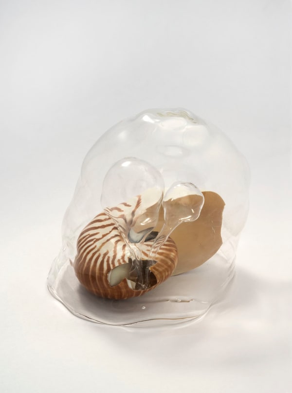 Julia Bejarano, Respiro de nautilus, 2025