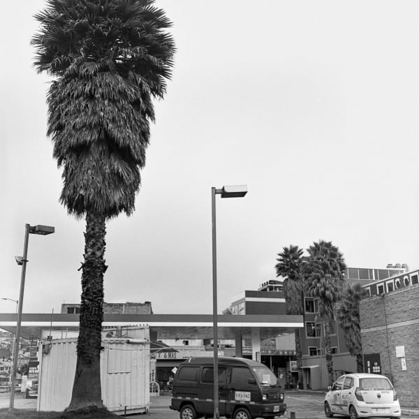 Beatriz Grau, La Caracas VII, 2023