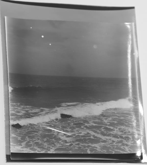 Beatriz Grau, 33ma XVIII, 2018