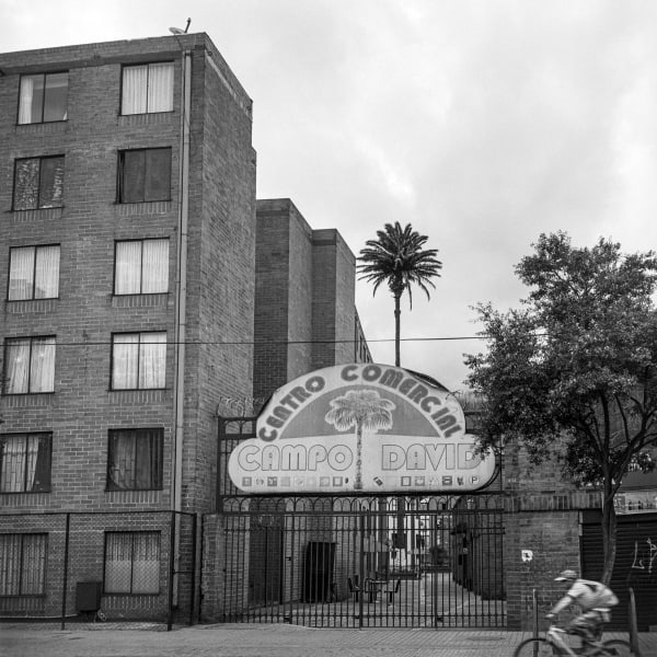 Beatriz Grau, La Caracas IV, 2023