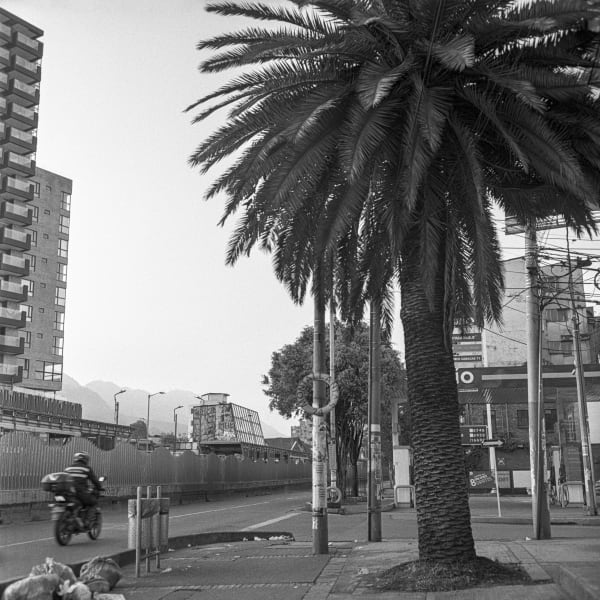 Beatriz Grau, La Caracas V, 2023