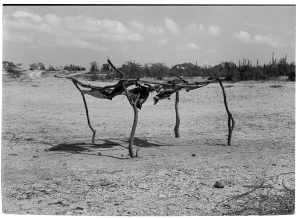 Beatriz Grau, Moverse con el viento I, 2025