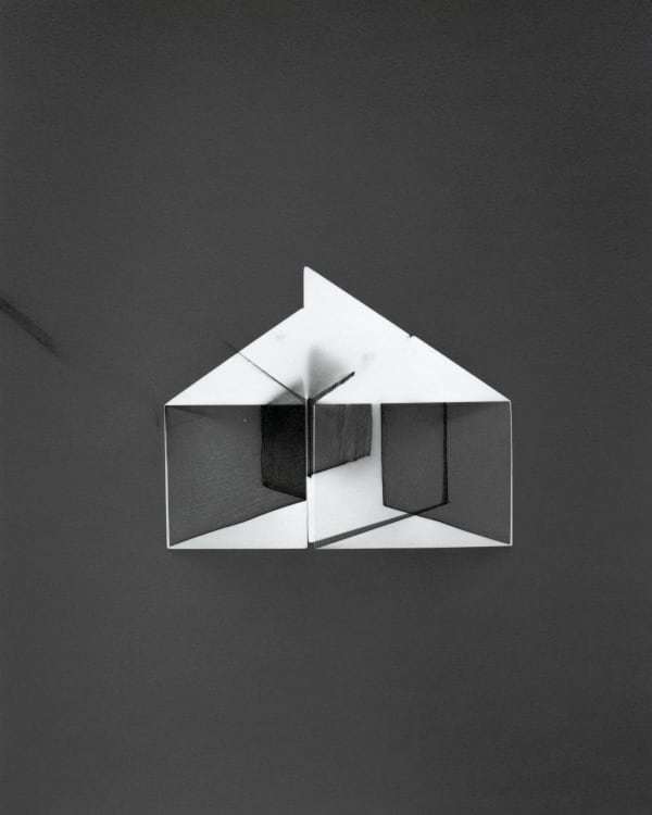 Julia Carrillo, Palimpsest 395, 2021