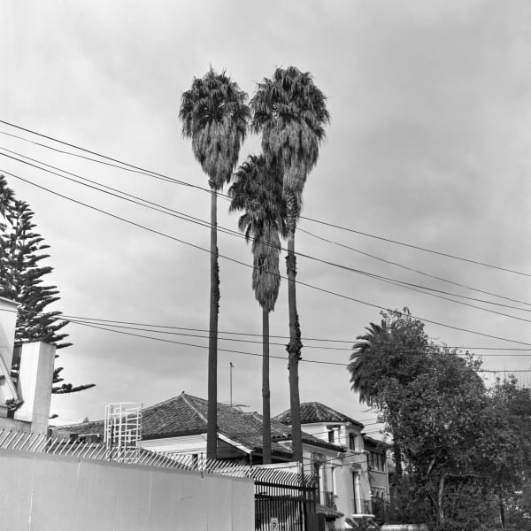 Beatriz Grau, La Caracas XIII, 2023