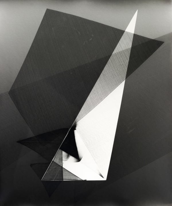 Julia Carrillo, Palimpsest 295, 2021