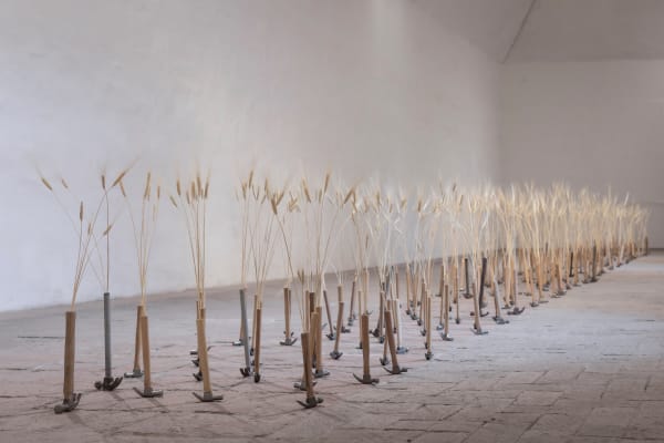 Joaquín Segura, Autosuficiencia: Ejercicios de balance 2, 2022