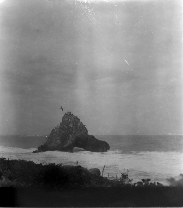 Beatriz Grau, 33ma IV, 2018