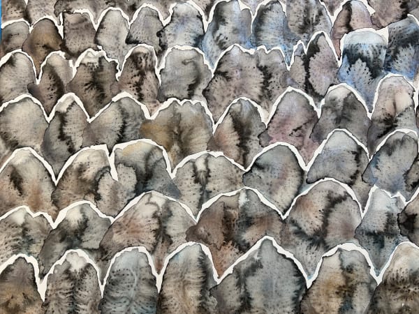 Samuel Sarmiento, Cordillera, 2023