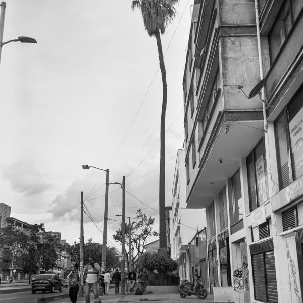 Beatriz Grau, La Caracas II, 2023