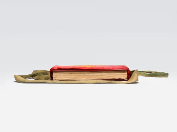 Joaquín Segura, Biblioteca definitiva para una revolución fallida (Citas del Presidente Mao Tse Tung), 2012