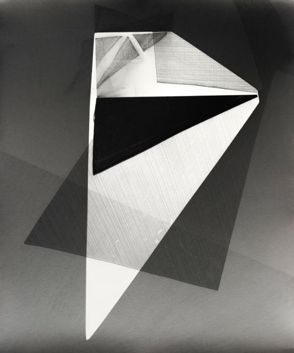 Julia Carrillo, Palimpsest 294, 2021