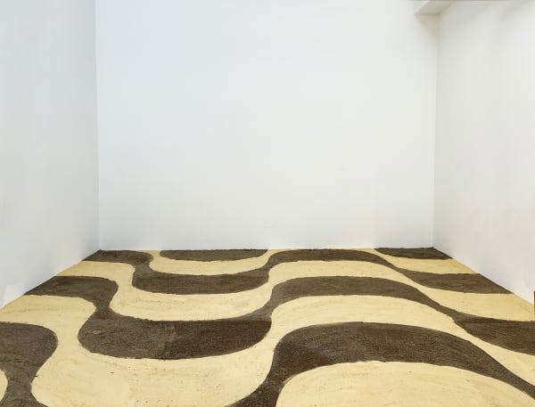 Felipe Arturo, Trópico Entrópico Bogotá, 2014-2024