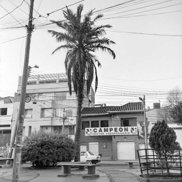 Beatriz Grau, La Caracas IX, 2023