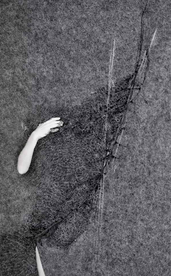 TAMAR KASPARIAN & FRANCE DUBOIS, Anatomia #06