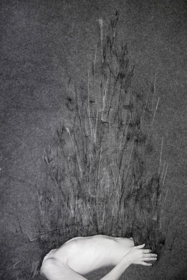 TAMAR KASPARIAN & FRANCE DUBOIS, Anatomia #10