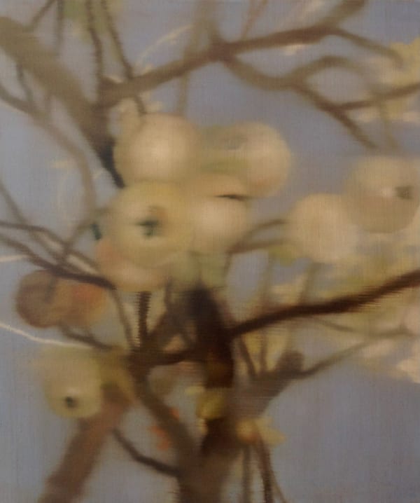 Johanna Bath, venice, 2025