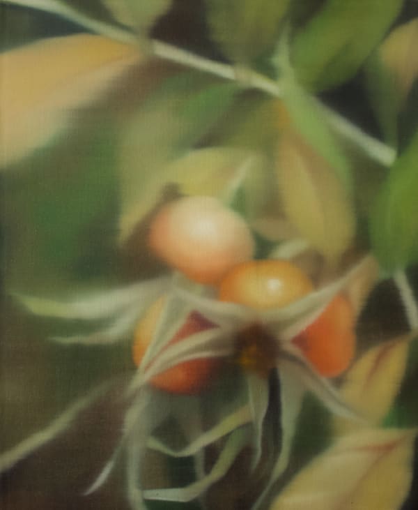 Johanna Bath, rosehip, 2025