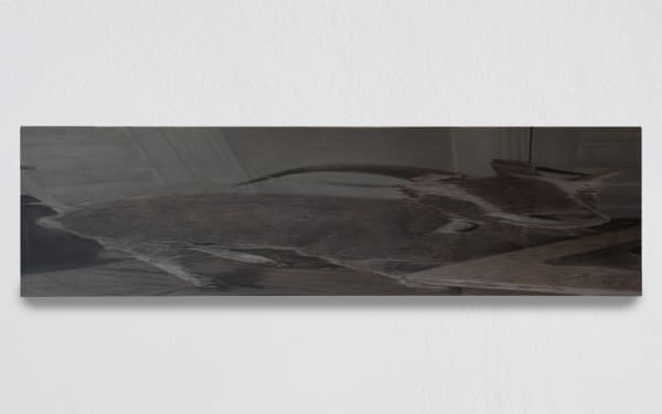 Emre Özakat, Goat in Domestic Space, 2025