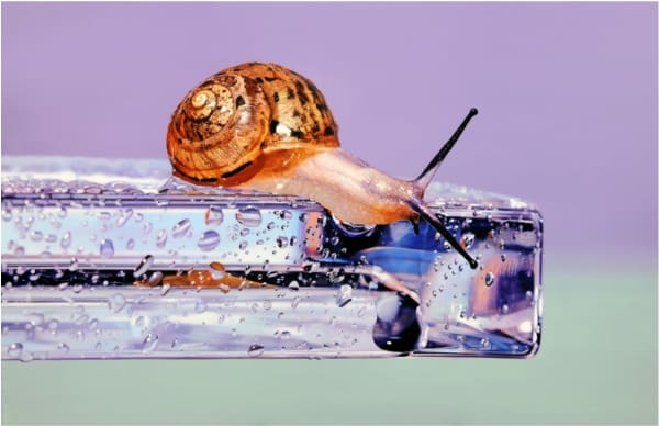 김영성 [無. 生. 物], 1/5, 2023 Digital print 100 x 65 cm