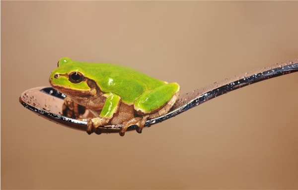 김영성 [無. 生. 物], 2016 Oil on canvas 259 x 162 cm