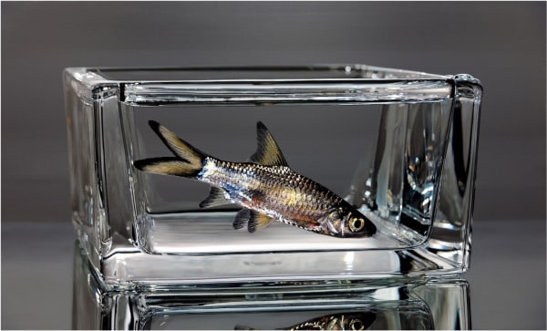 김영성 [無. 生. 物], 2020 Oil on canvas 162 x 92 cm