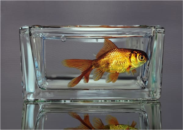 김영성 [無. 生. 物], 2020 Oil on canvas 91 x 65 cm