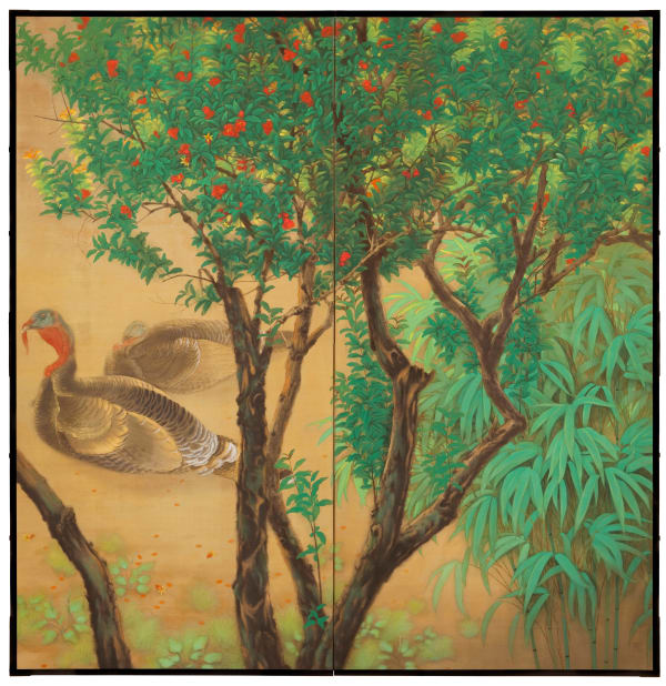 Turkeys under a Poinciana Tree