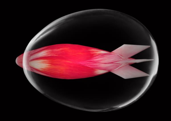 劉世芬 LIU Shih-Fen 擊 Hit, 2022 色鉛筆素描結合數位影像/輸出於紙上(水晶裱褙) Color pencil sketches combined with digital image, print on paper, mounting on dibond, and face-mounted on acrylic 11 3/4 x 16 1/2 in, 3 Ed. + 1 A.P. 29.7 x 42 cm, 3 Ed. + 1 A.P.