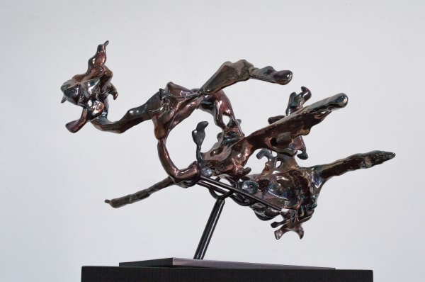 展望 ZHAN Wang, 隱形 20# Forms in Flux No.20, 2017