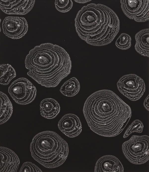 能條雅由 Masayoshi NOJO, 連結 #7 Link #7, 2022