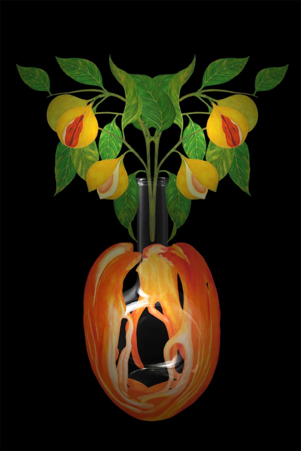 劉世芬 LIU Shih-Fen 〈穆勒氏花園——靜物〉肉豆蔻 Műllerian's Garden Still—Life Nutmeg, 2016 色鉛筆素描結合數位影像/輸出於紙上(水晶裱褙) Color pencil sketches combined with digital image, print on paper, mounting on dibond, and face-mounted on acrylic 35 3/8 x 23 5/8 in, 3 Ed. + 1 A.P. 90 x 60 cm, 3 Ed. + 1 A.P.