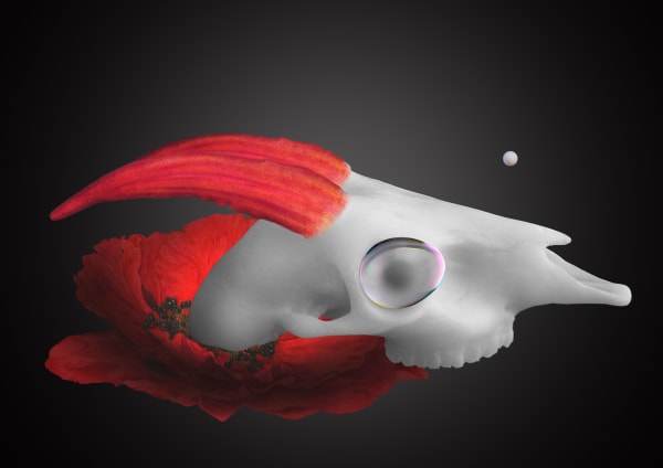 劉世芬 LIU Shih-Fen clue, 2022 色鉛筆素描結合數位影像/輸出於紙上(水晶裱褙) Color pencil sketches combined with digital image, print on paper, mounting on dibond, and face-mounted on acrylic 11 3/4 x 16 1/2 in, 3 Ed. + 1 A.P. 29.7 x 42 cm, 3 Ed. + 1 A.P.