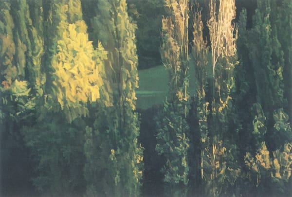 陳建中 CHAN Kin-Chung, 碧素蒙公園之六 Parc Buttes Chaumont No.6, 1988-1989