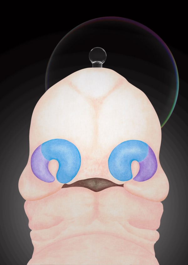 劉世芬 LIU Shih-Fen 聖胚胎-5 Sacred Embryo-5, 2022 色鉛筆素描結合數位影像/輸出於紙上(水晶裱褙) Color pencil sketches combined with digital image, print on paper, mounting on dibond, and face-mounted on acrylic 16 1/2 x 11 3/4 in, 3 Ed. + 1 A.P. 42 x 29.7 cm, 3 Ed. + 1 A.P.