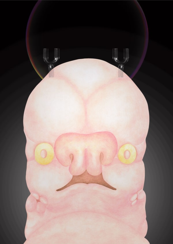 劉世芬 LIU Shih-Fen 聖胚胎-7 Sacred Embryo-7, 2022 色鉛筆素描結合數位影像/輸出於紙上(水晶裱褙) Color pencil sketches combined with digital image, print on paper, mounting on dibond, and face-mounted on acrylic 16 1/2 x 11 3/4 in, 3 Ed. + 1 A.P. 42 x 29.7 cm, 3 Ed. + 1 A.P.