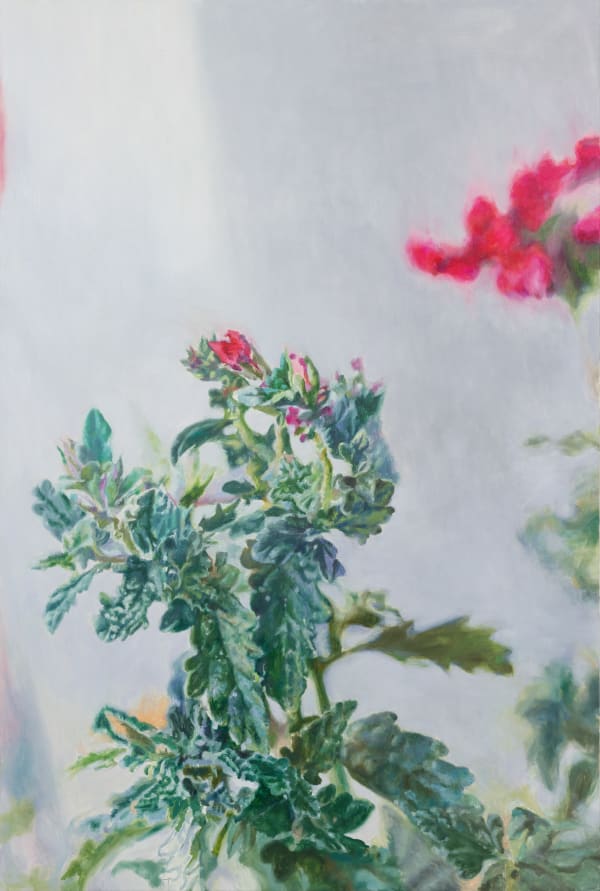 鄭君殿 JENG Jundian, 天竺葵 180910 House Geranium 180910, 2018