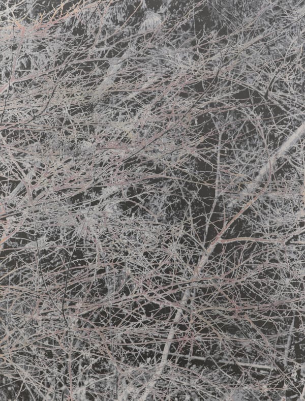 能條雅由 Masayoshi NOJO 無題 Untitled, 2021 壓克力顏料、銀箔、鋁箔/畫布 Acrylic, silver foil and aluminum foil on canvas 41 3/8 x 31 1/2 in 105 x 80 cm