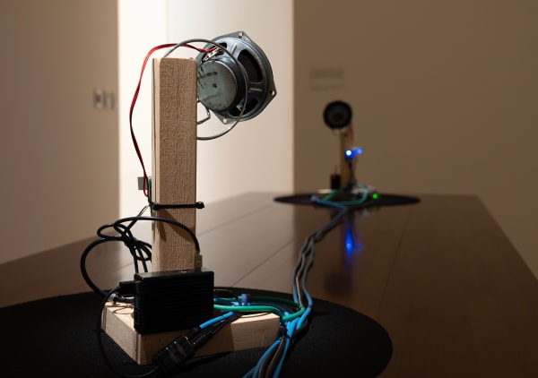 鄭先喻 HsienYu CHENG, Annoyanony, 2022