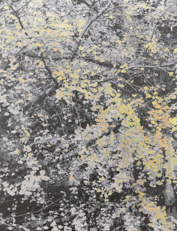 能條雅由 Masayoshi NOJO 無題 Untitled, 2021 壓克力顏料、銀箔、鋁箔/畫布 Acrylic, silver foil and aluminum foil on canvas 41 3/8 x 31 1/2 in 105 x 80 cm