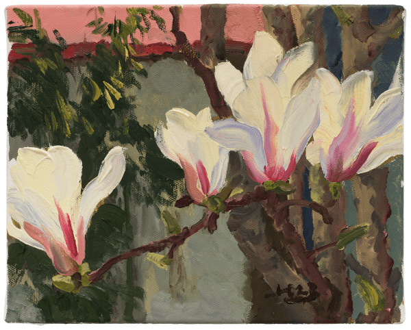 刘小东 LIU Xiaodong 五朵玉兰 Five Magnolias, 2023 油彩/亚麻布 Oil on canvas 24.5 x 30.5 cm